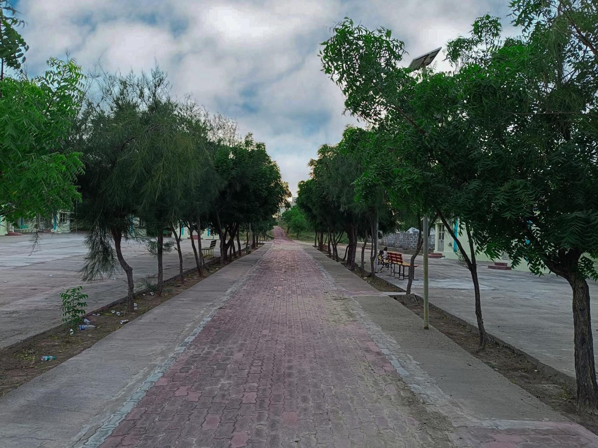 Hotel Rann Of Kachchh Dholavira 外观 照片